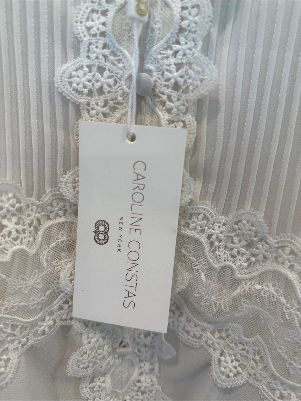 Caroline Constas Anna Ivory Lace-Trim Midi Slip Dress - Picture 7 of 14